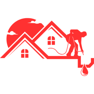 Home Roof cleaning