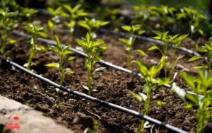 02.Drip Irrigation Systems