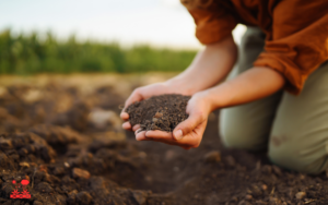 05.Soil Conditioning