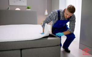 06.Flea Treatment