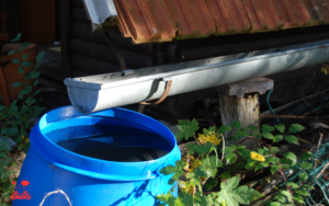 06.Rainwater Collection Systems