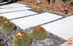 12.Xeriscape Planning
