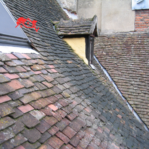 Algae RemovalRoof Cleaning Service