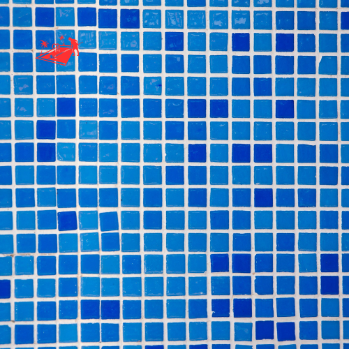 Cleaning Pool Tiles (7)