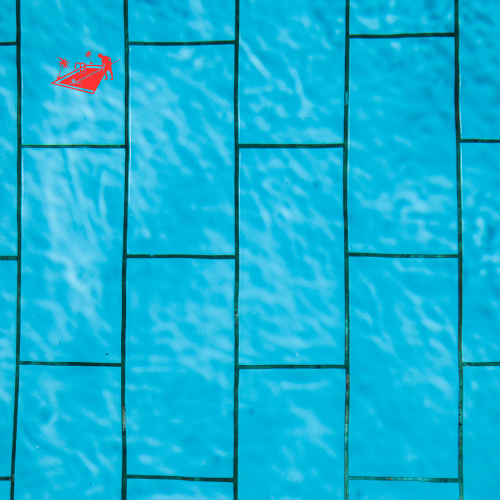 Cleaning Pool Tiles (9)