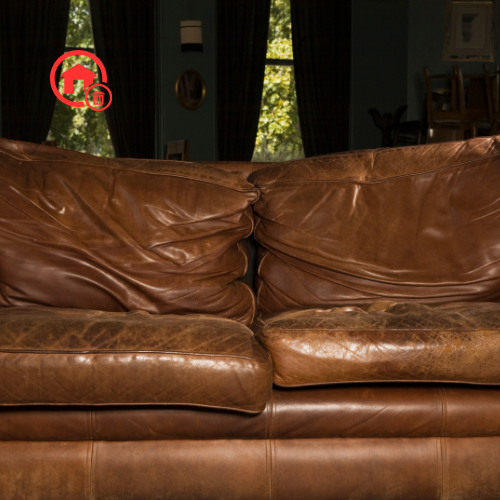 Couch Removal (7)