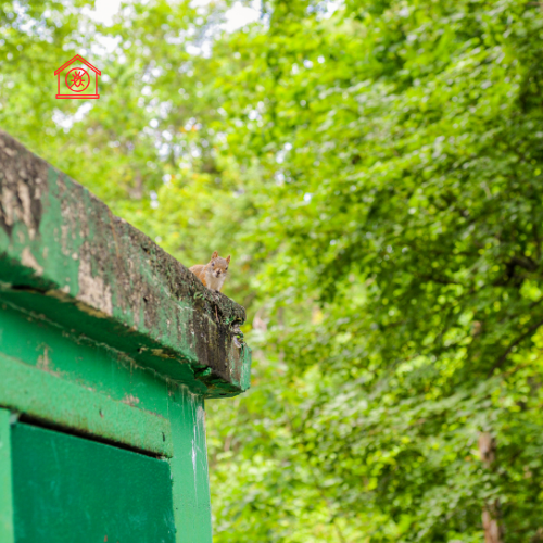 Critter Control