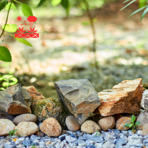 Decorative Rock Gardens