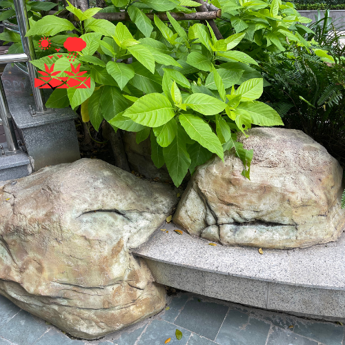Decorative Rock Gardens (3)