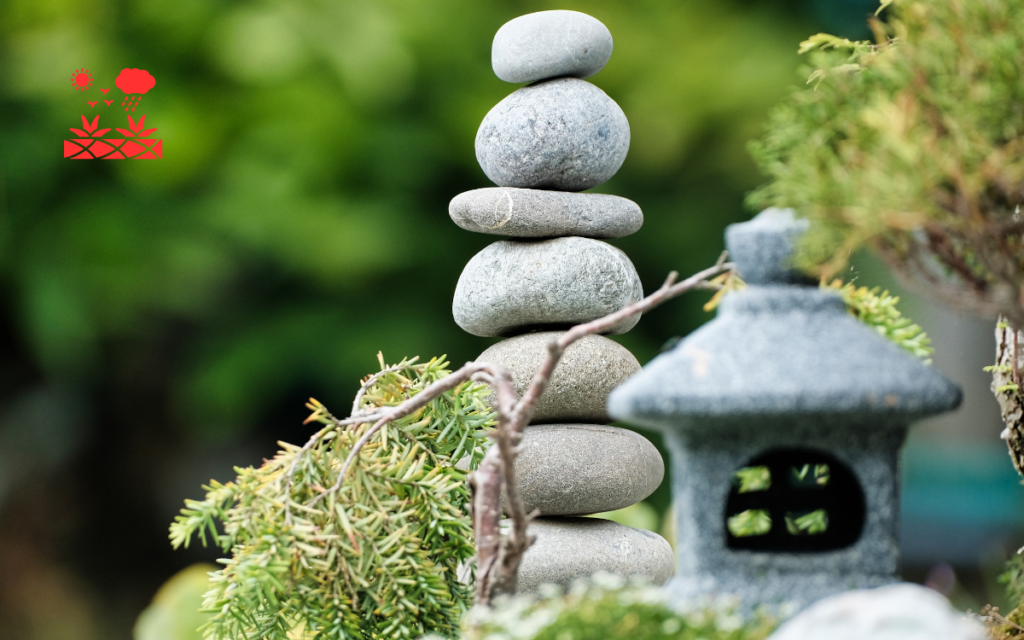 Decorative Rock Gardens (3)