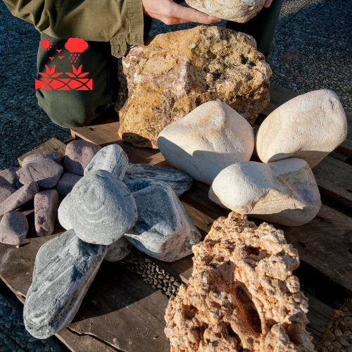 Decorative Rock Gardens (5)