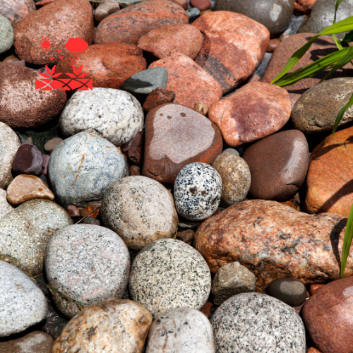 Decorative Rock Gardens (7)