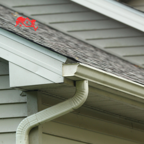 Downspout Cleaning (3)