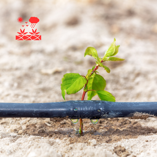 Drip Irrigation Systems (2)