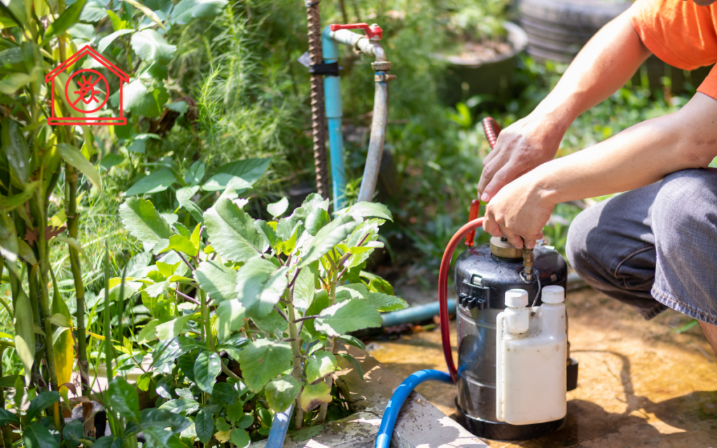 Eco Friendly Pest Control (3)