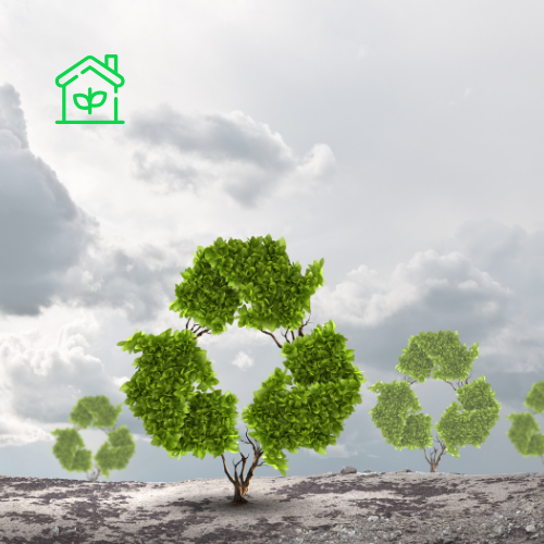 Eco Recycling (4)