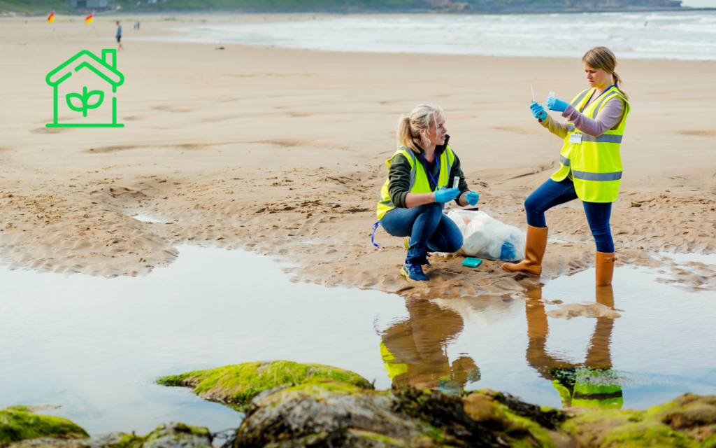 Environmental Impact Assessment