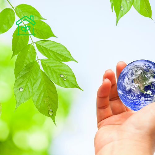 Environmental Services (2)