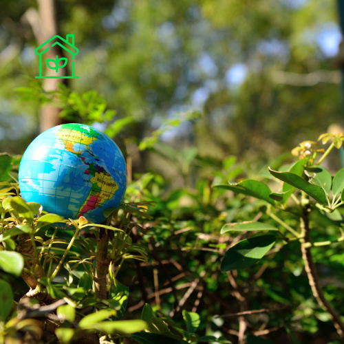 Environmental Services (9)