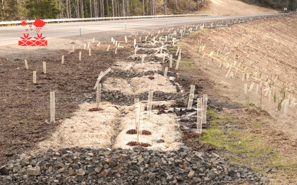 Erosion Control