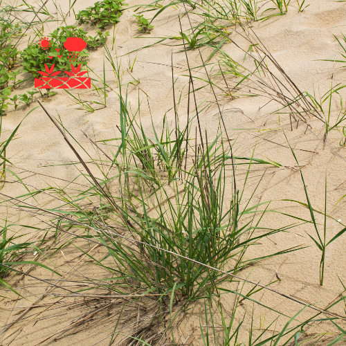 Erosion Control (2)