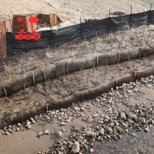 Erosion Control (3)