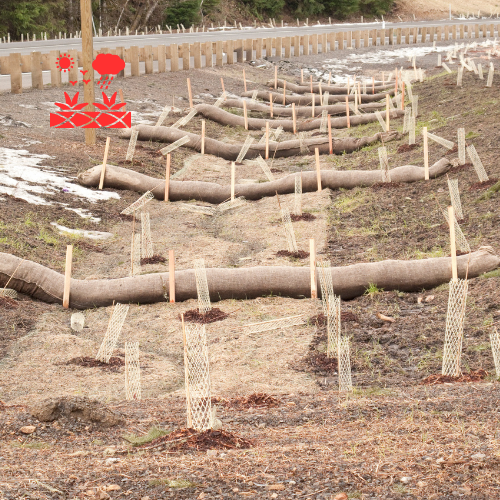 Erosion Control (4)