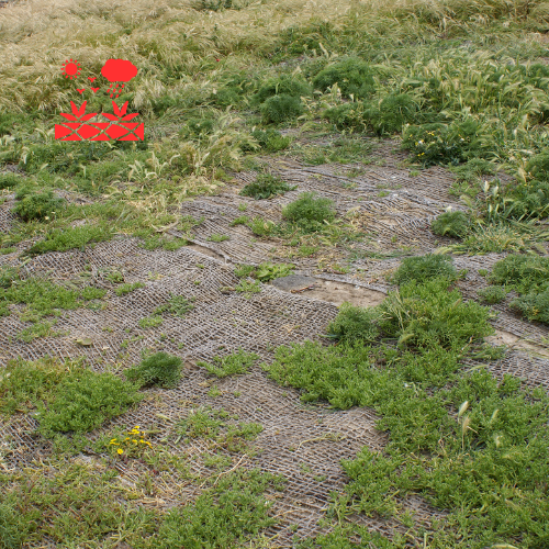 Erosion Control (9)