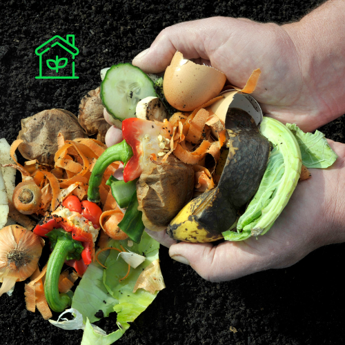 Food Waste Composting (7)