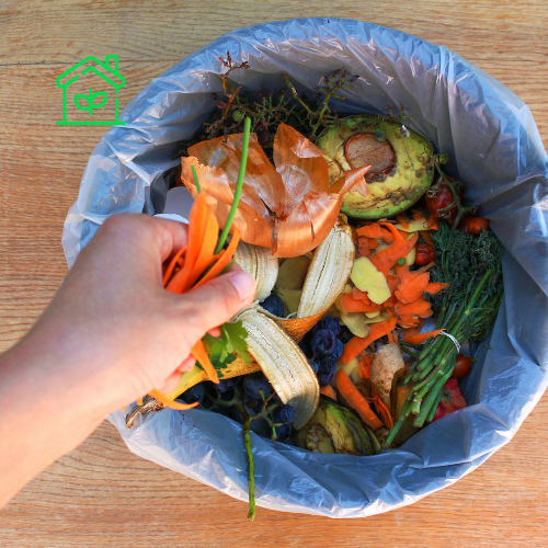 Food Waste Composting (8)
