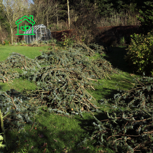Garden Waste Collection (8)