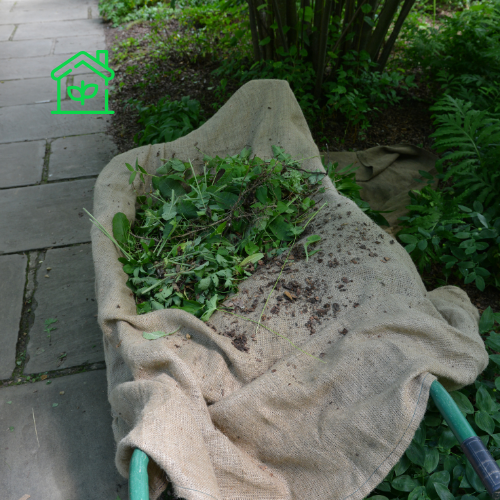 Garden Waste Collection (9)