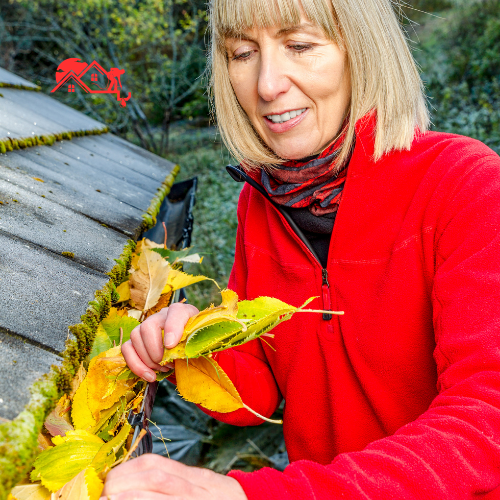 Gutter Clearing (2)
