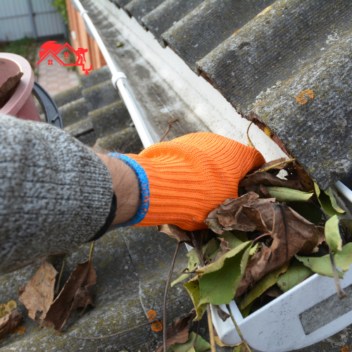 Gutter Clearing (3)