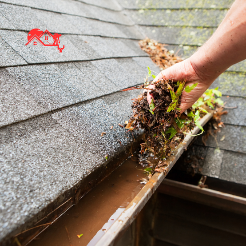 Gutter Clearing (4)