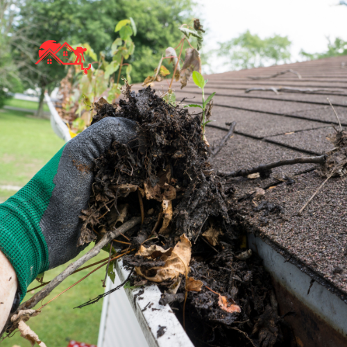 Gutter Clearing (6)