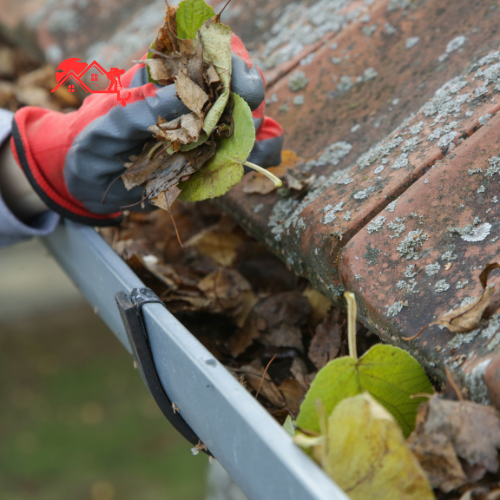 Gutter Clearing (9)