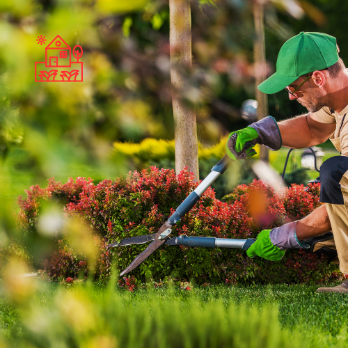 Home Landscaping Service (8)