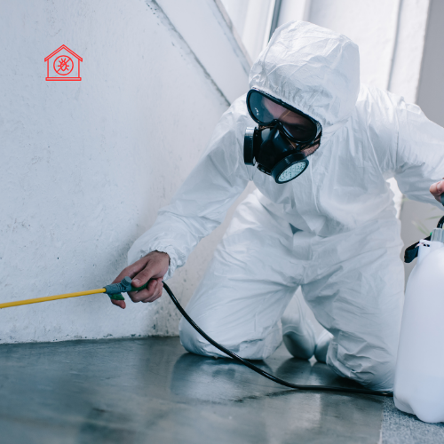 Home Pest Control Service
