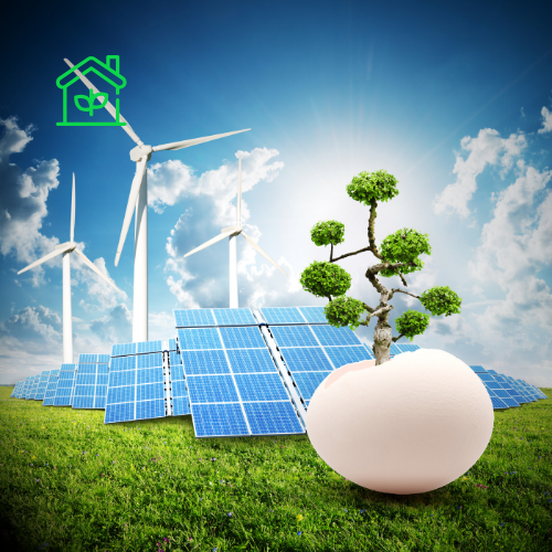 Home Recycling and Sustainability Service