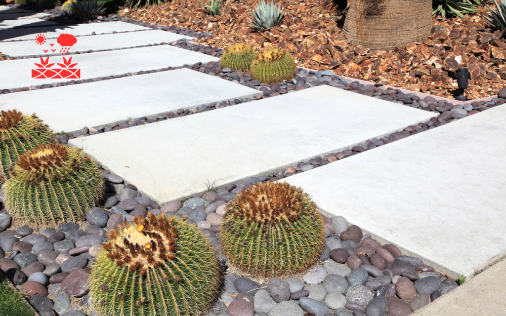 Home Xeriscaping Service (3)