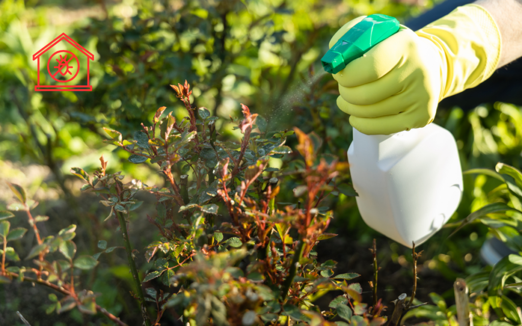 Integrated Pest Management IMP (7)