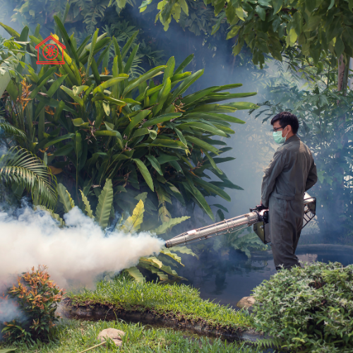 Mosquito Control (2)