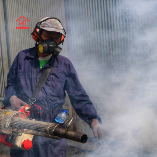 Mosquito Control (3)