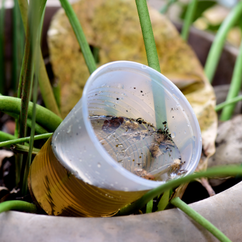 Mosquito Control (4)