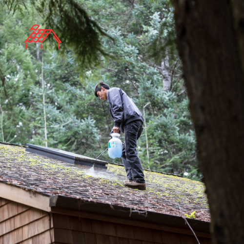 Moss Removal From Roof
