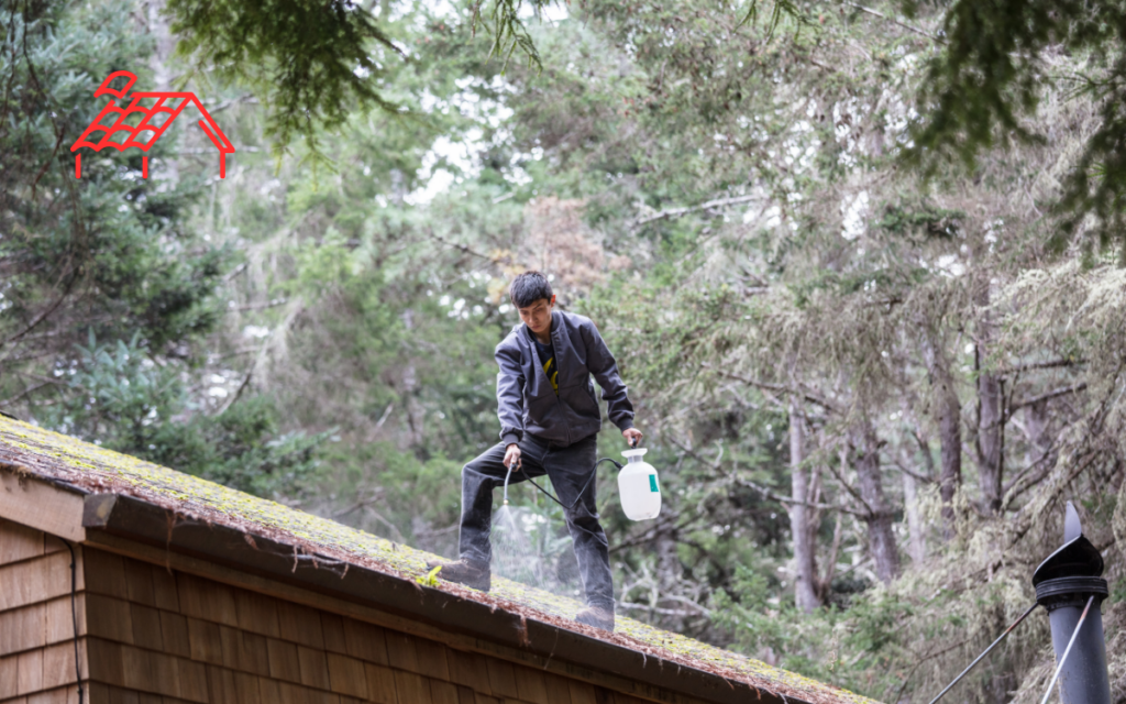 Moss Removal From Roof (2)