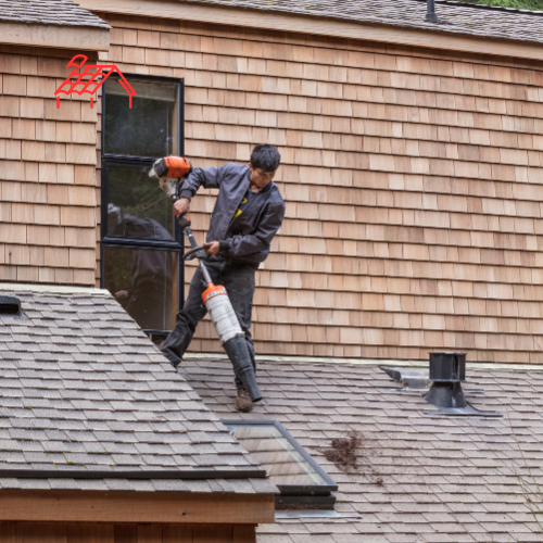 Moss Removal From Roof (4)