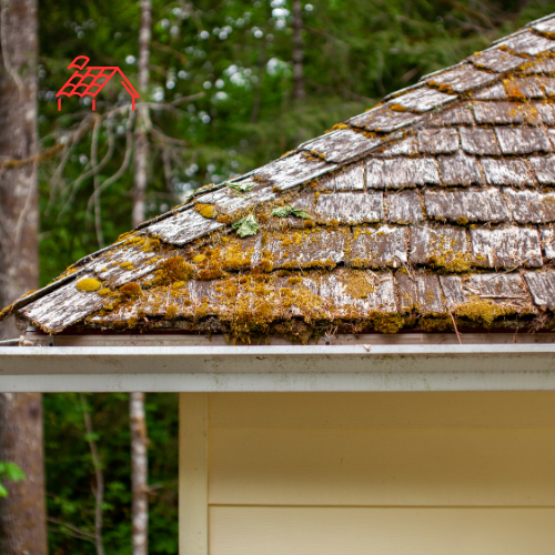 Moss Removal From Roof (6)