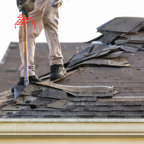 Moss Removal From Roof (7)